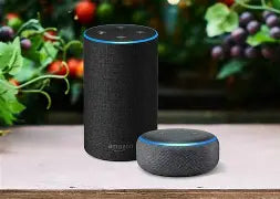 amazon alexa