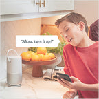 BOSE WI-FI, WIRELESS, BLUETOOTH PORTABLE HOME SPEAKER