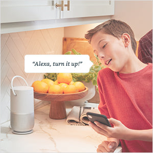 BOSE WI-FI, WIRELESS, BLUETOOTH PORTABLE HOME SPEAKER