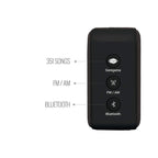 SAREGAMA CARVAAN MINI HINDI 2.0