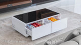 PRIMST Smart Refrigerator Coffee Table